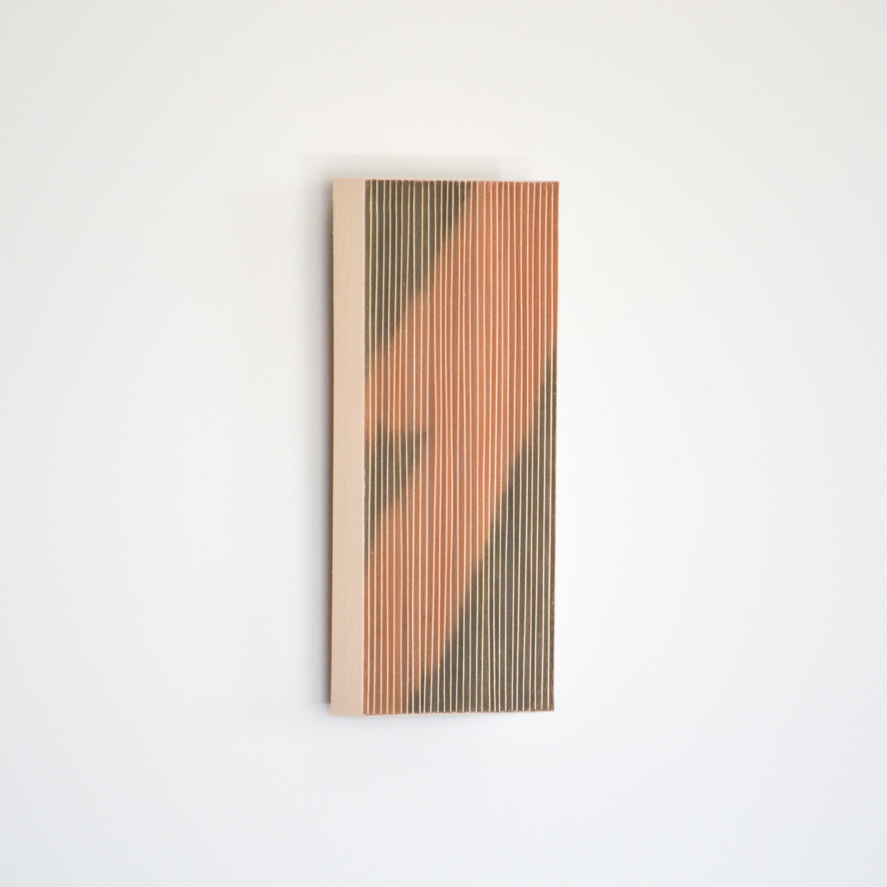 Cover Image for Ridge 1