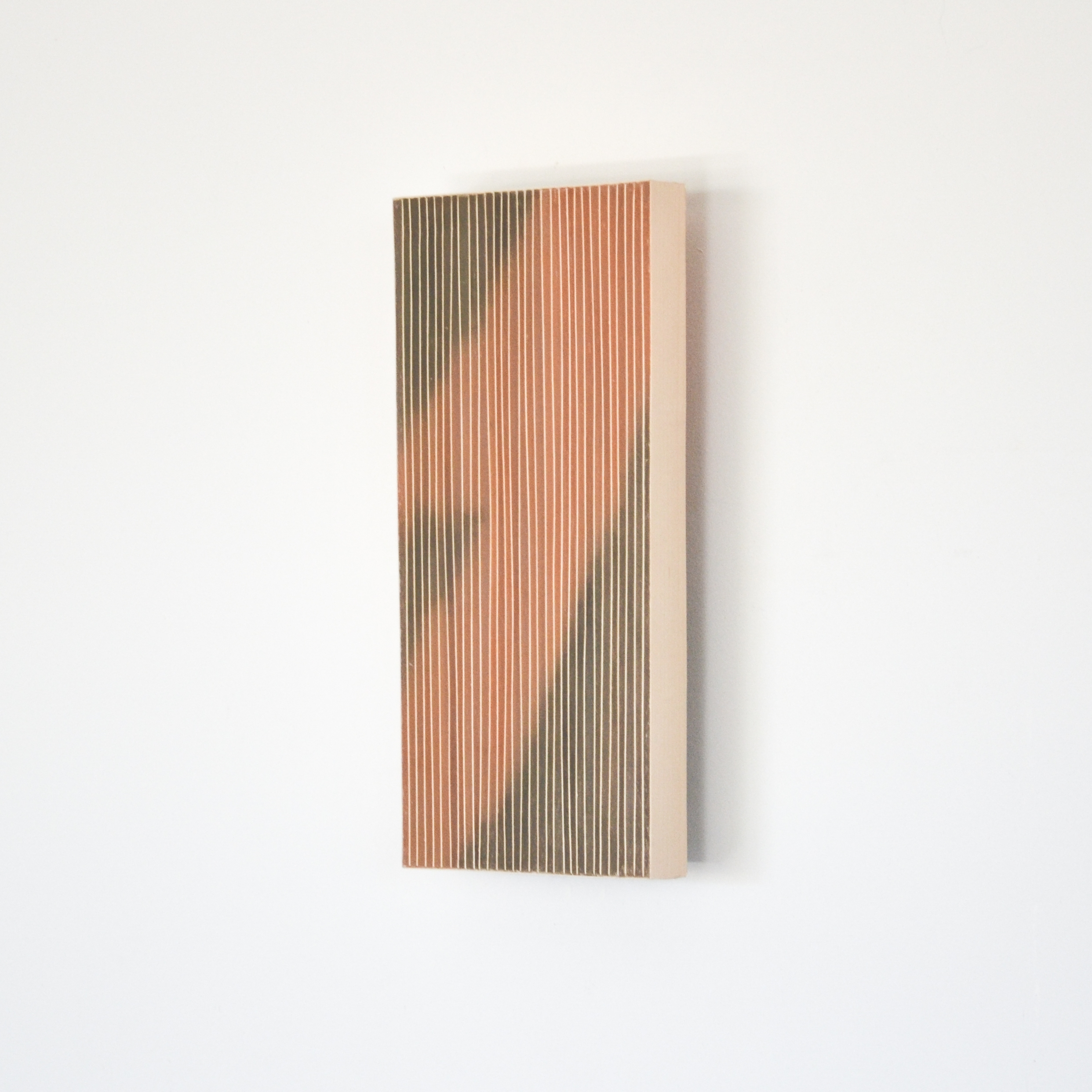 Cover Image for Ridge 1